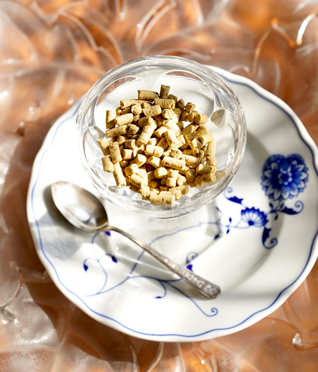 PUPPILY DELICA PREMIUM(パピリーデリカ)